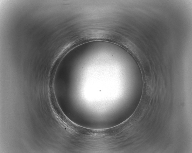 X0000066960482200603271237