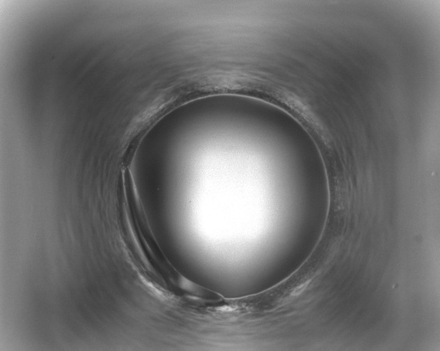 X0000066960489200603271237