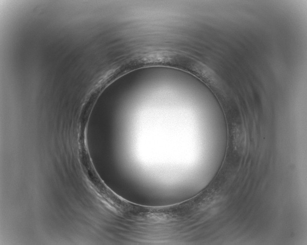 X0000066960490200603271237