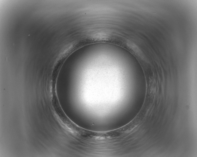 X0000066960494200603271237