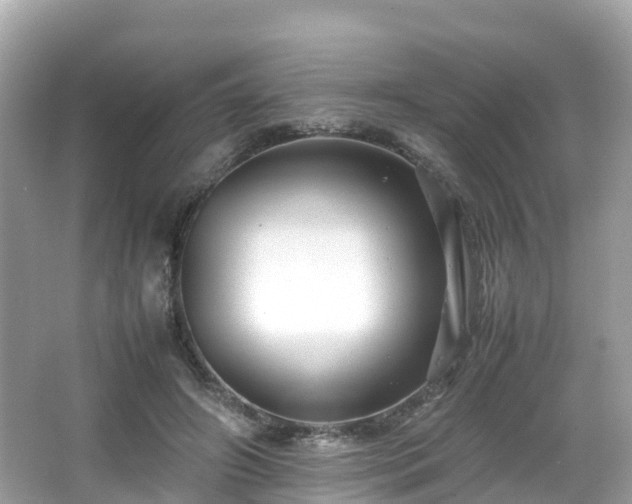 X0000066960498200603271237