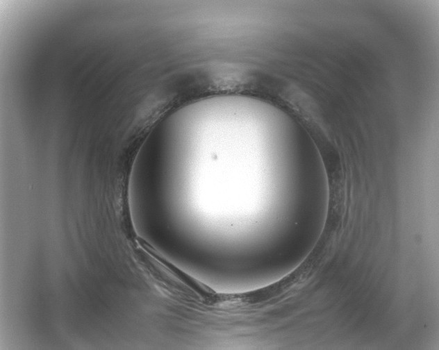 X0000066960505200603271236
