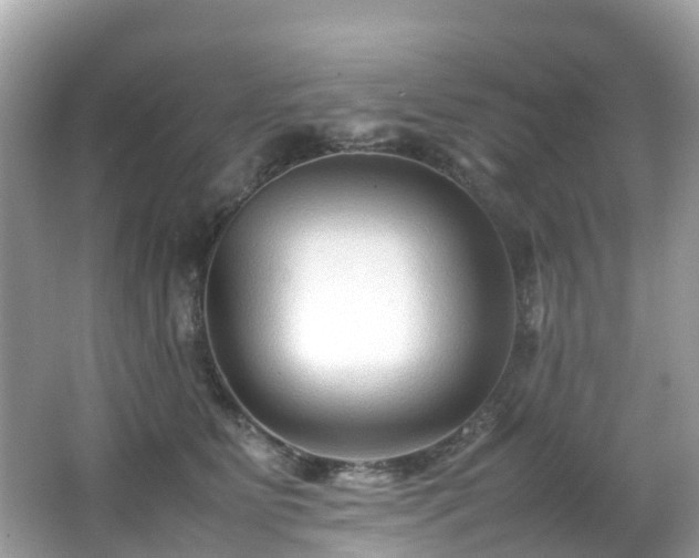X0000066960515200603271236