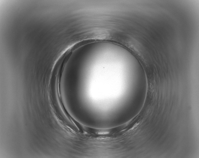 X0000066960532200603271235