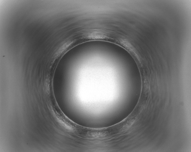 X0000066960533200603271235