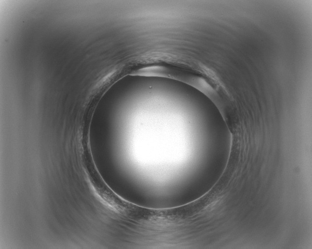 X0000066960538200603271235