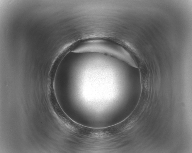 X0000066960540200603271235