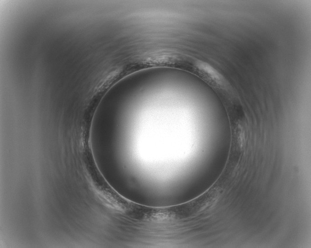X0000066960546200603271236