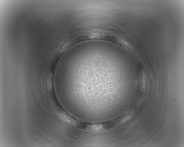 X0000066960554200603271236