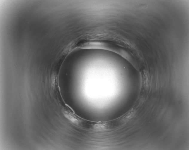 X0000066960574200603271236