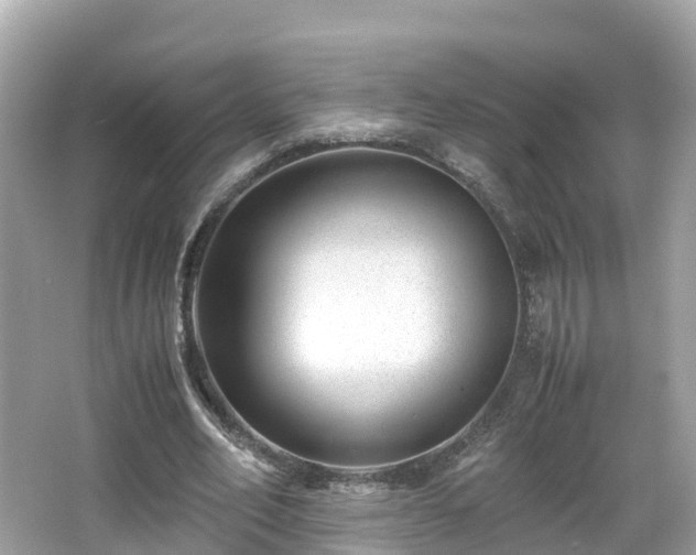 X0000066960582200603271235