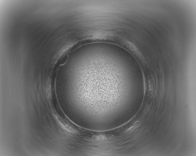 X0000066960588200603271235