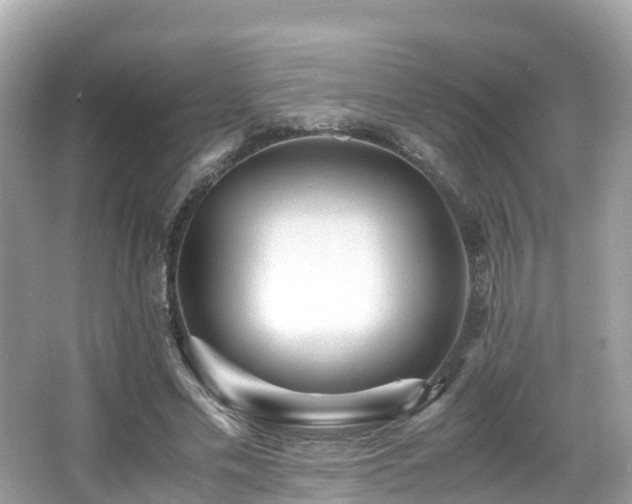 X0000066960589200603271235