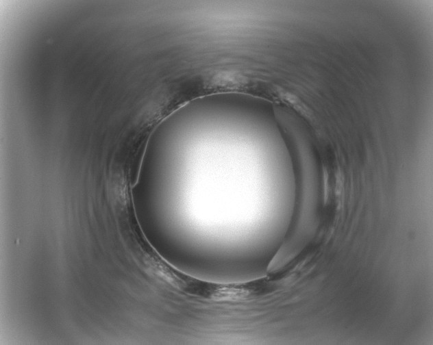 X0000066960617200603271235