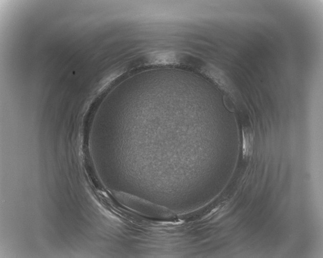 X0000066960627200603271234