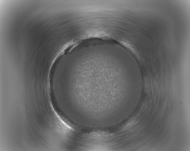 X0000066960630200603271234