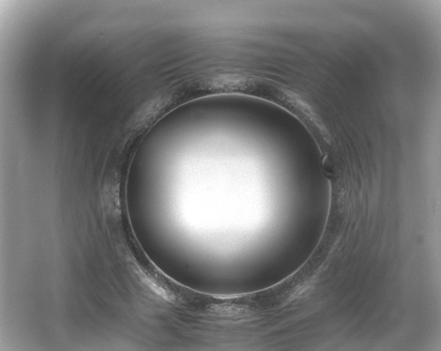 X0000066960633200603271234