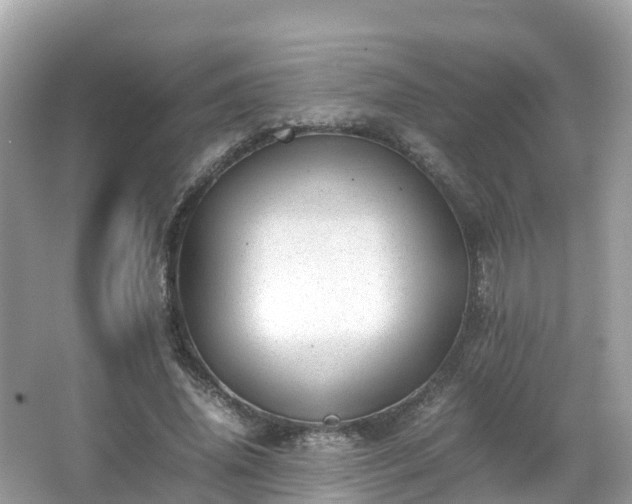 X0000066960636200603271234