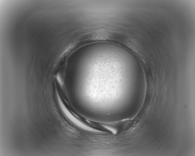 X0000066960681200603271233