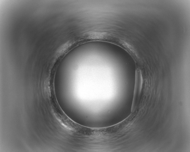 X0000066960682200603271233