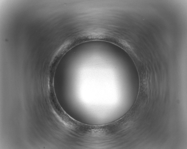 X0000066960686200603271233