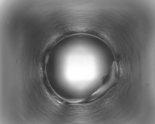 X0000066960688200603271233