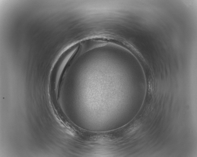 X0000066960724200603271232