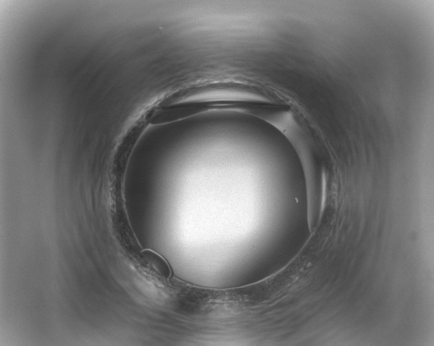 X0000066960732200603271232