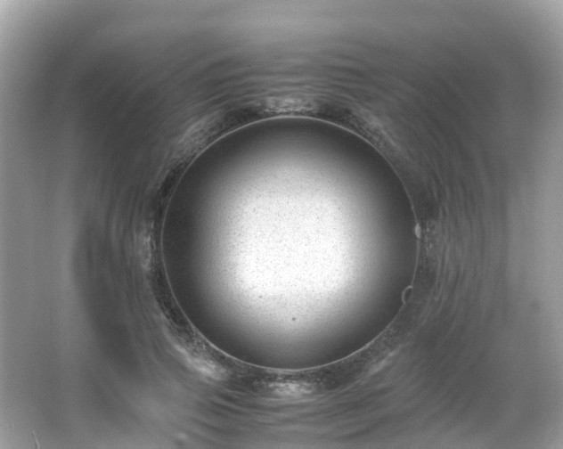 X0000066960741200603271232