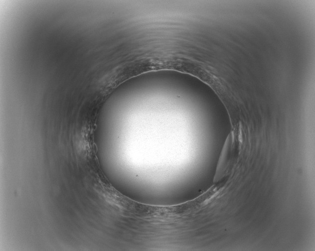 X0000066960770200603271232