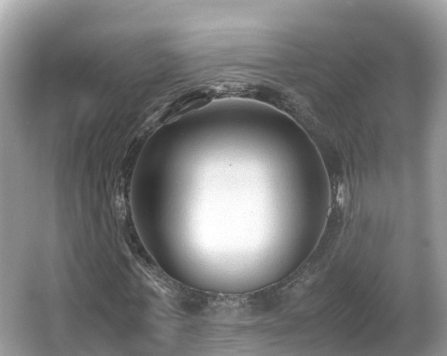 X0000066960771200603271232
