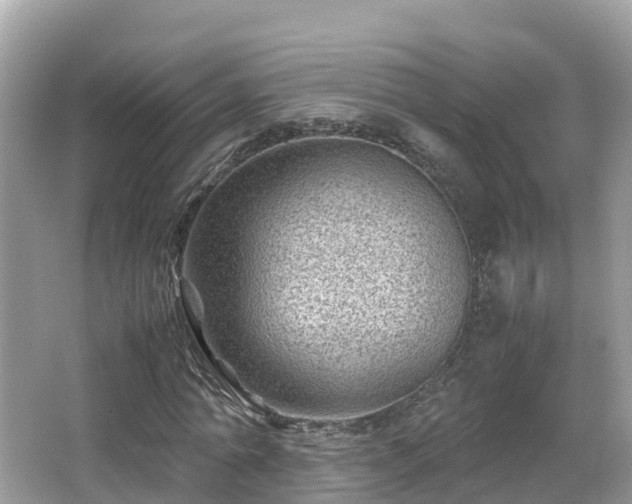 X0000066960774200603271232