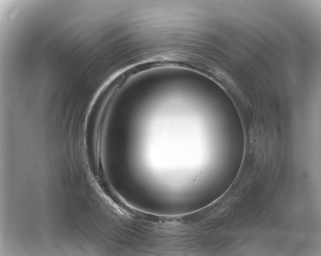 X0000066960784200603271232