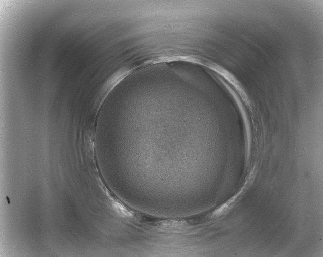 X0000066960809200603271231