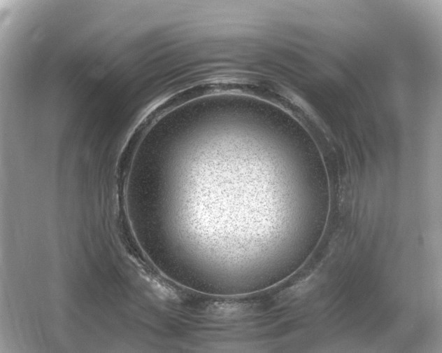 X0000066960829200603271231