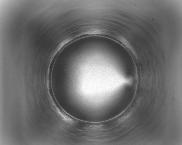 X0000066960845200603271231