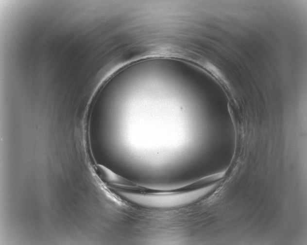 X0000066960854200603271231