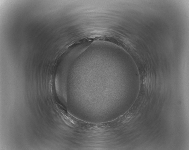 X0000066960868200603271230
