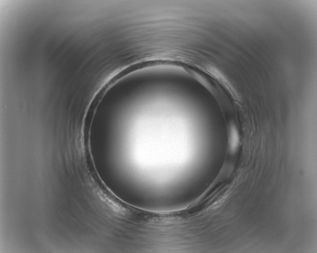 X0000066960884200603271230