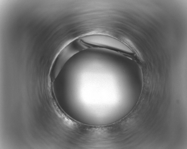 X0000066960900200603271230