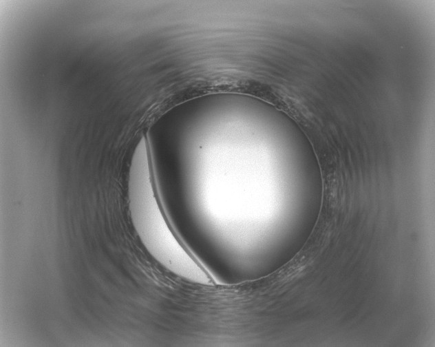 X0000066960916200603271229
