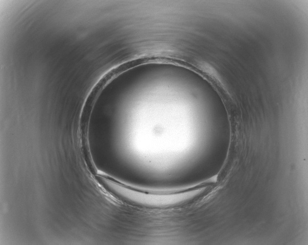X0000066960924200603271229