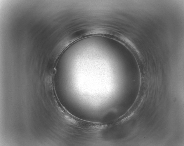 X0000066960937200603271229