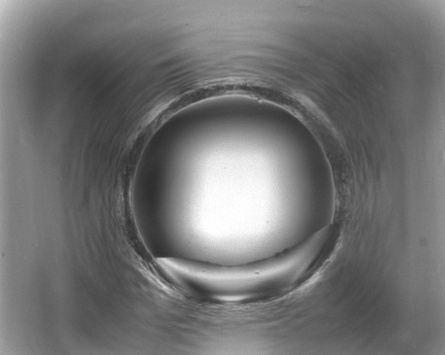 X0000066960969200603271229