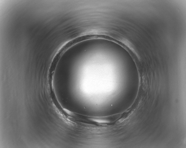 X0000066960972200603271229