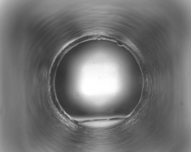 X0000066961020200603271227
