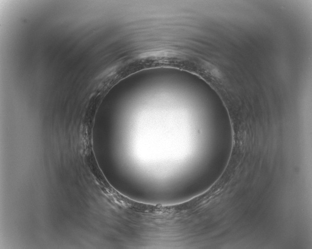X0000066961062200603271227