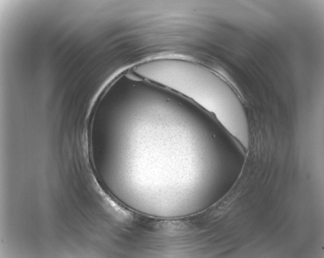 X0000066961092200603271226