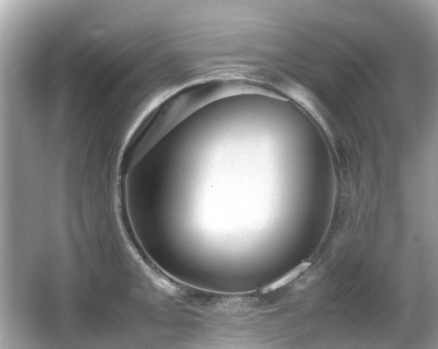 X0000066961093200603271226