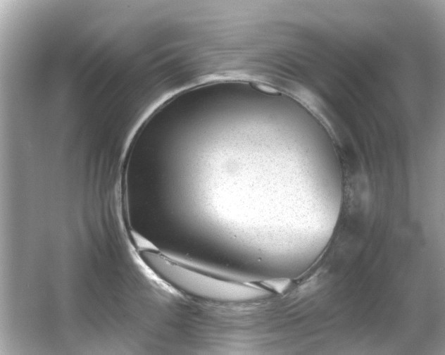X0000066961100200603271226
